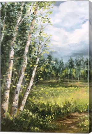 Framed Colorado Meadow panel I Print