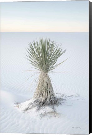 Framed Yucca in White Sands National Monument Print