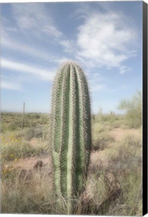 Framed Saguaro Print