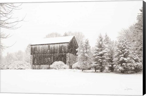 Framed First Snow BW Crop Print