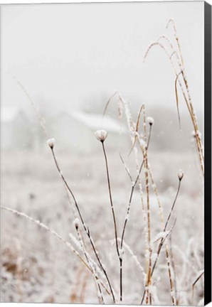 Framed Early Snow Print