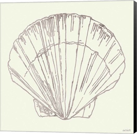 Framed Coastal Breeze Shell Sketches V Silver Print