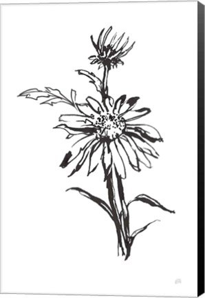 Framed Line Echinacea I Print