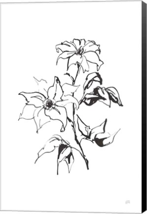 Framed Line Clematis Print