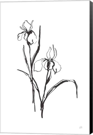 Framed Line Iris III Print