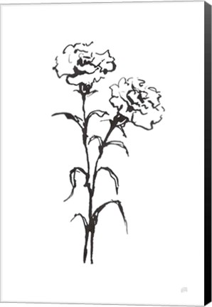 Framed Line Carnation II Print