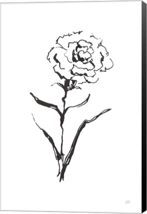 Framed Line Carnation I Print