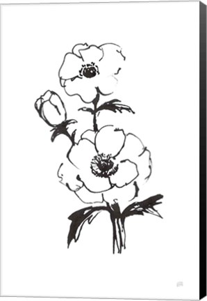 Framed Line Anemone II Print