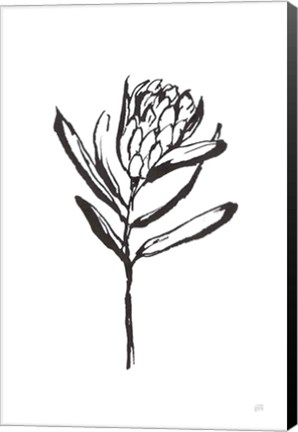 Framed Line Protea I Print