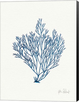 Framed Sea Garden II Royal Blue Print