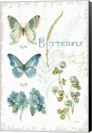 Framed My Greenhouse Botanical Butterfly Print