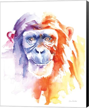 Framed Chimpanzee II Print