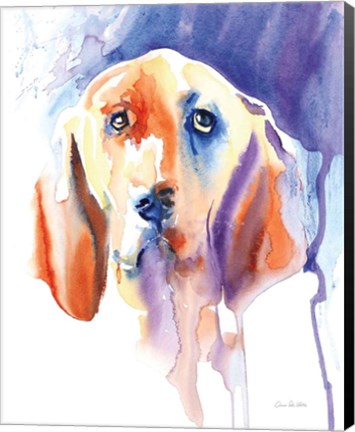 Framed Basset Hound Print