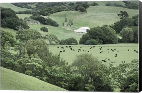 Framed Marin California Ranch Print