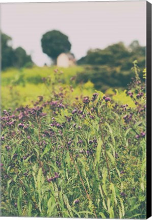 Framed Roadside Flowers Print