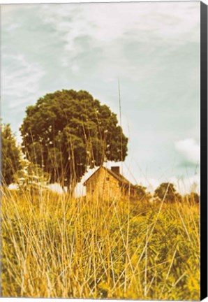 Framed Grass and Sky Print