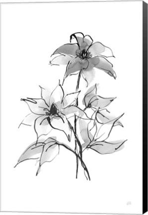 Framed Wash Clematis Print