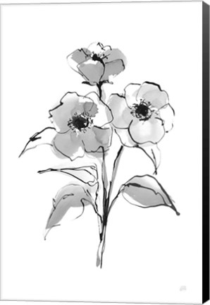 Framed Wash Poppy II Print