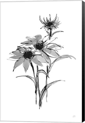 Framed Wash Echinacea I Print