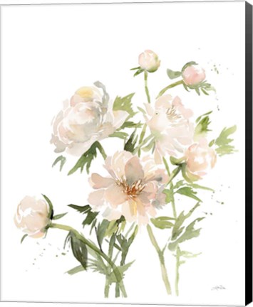 Framed Peonies II Print