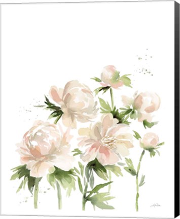 Framed Peonies I Print