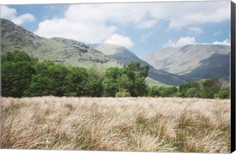 Framed Scottish Highlands III Print