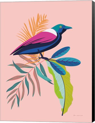 Framed Exotic Birds I Print