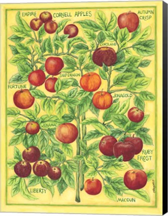 Framed Cornell Apples Print