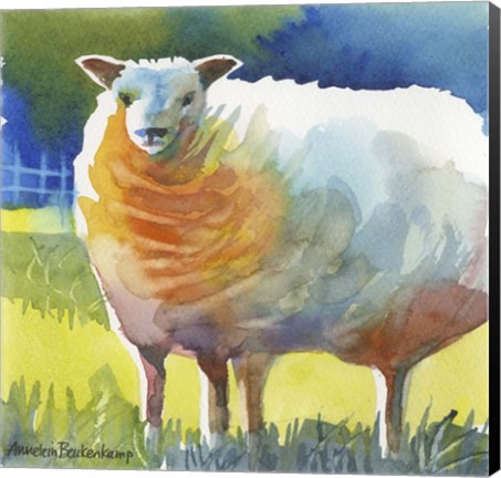 Framed Sheep II Print