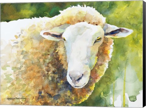 Framed Sheep IV Print