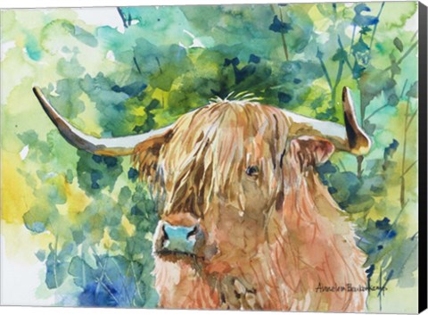 Framed Steer II Print