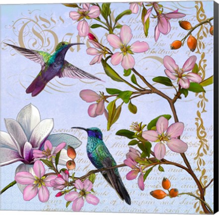 Framed Hummingbird Botanical Print