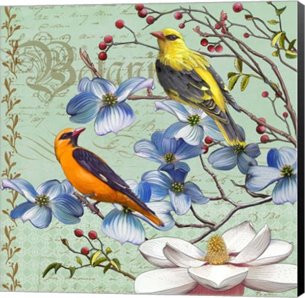 Framed Oriole Bird Botanical Print