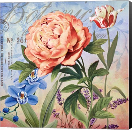 Framed Botanique with Peony Print