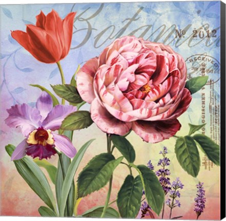 Framed Botanique with Rose Print