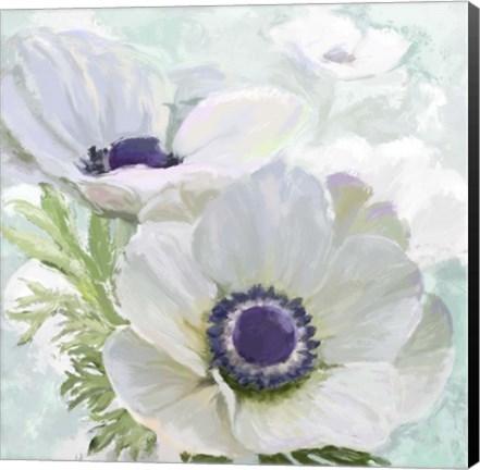 Framed Anenome White Print