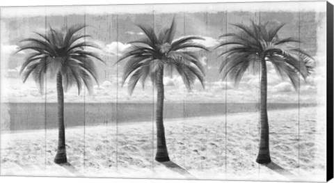 Framed 3 Island Palms Print