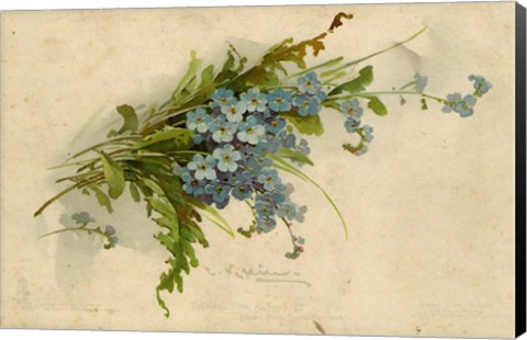 Framed Forget-Me-Not Print