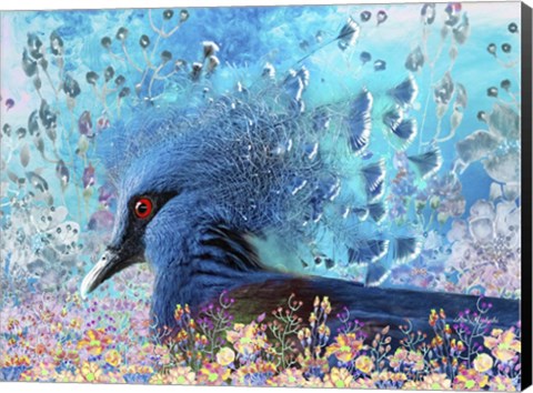 Framed Colorful Bird Print