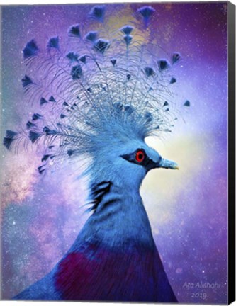 Framed Beautiful Bird Print