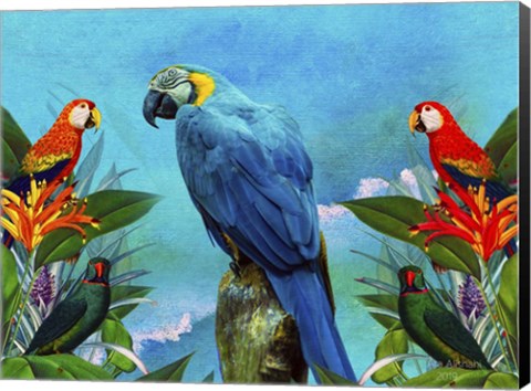 Framed Bird Kingdom 4 Print