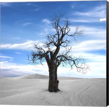 Framed Dead Tree Print