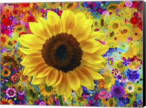 Framed Sunflower 2 Print