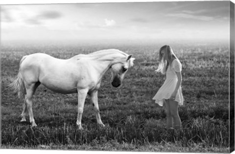 Framed Her White Horse Print