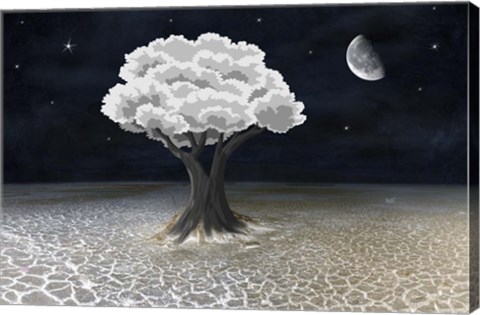 Framed Moon Tree Print