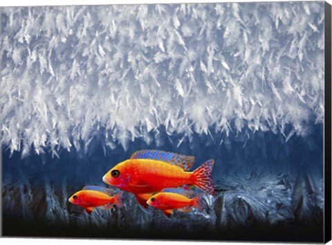 Framed Red Fish 3 Print