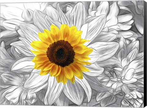 Framed Stars 3 Print