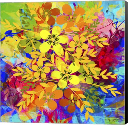 Framed Emotional Journey 13 Print