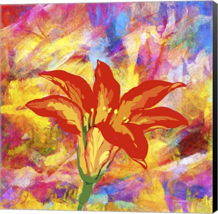 Framed Emotional Journy 38 Print