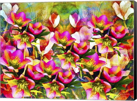 Framed Nature And Colors 2 Print